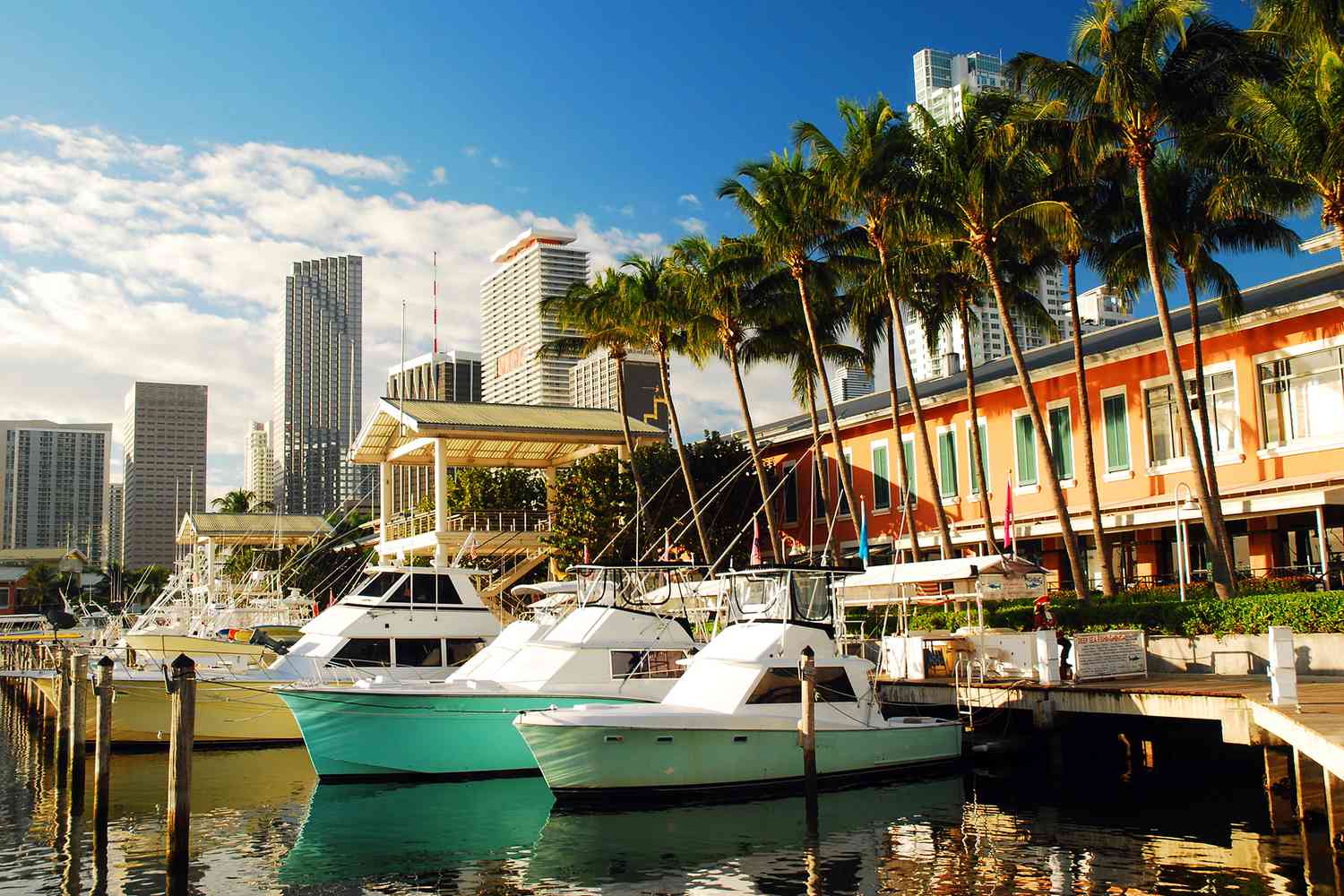 Must-Attend November 2025 Events in Miami & How to Travel There in Style
