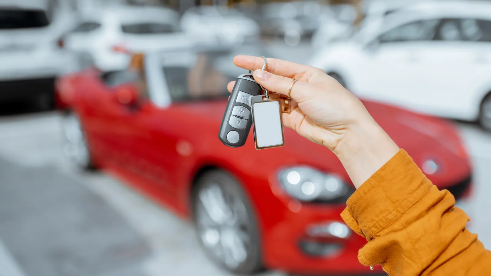 Convertibles & Spyders: Best Models for a Miami Beach Drive