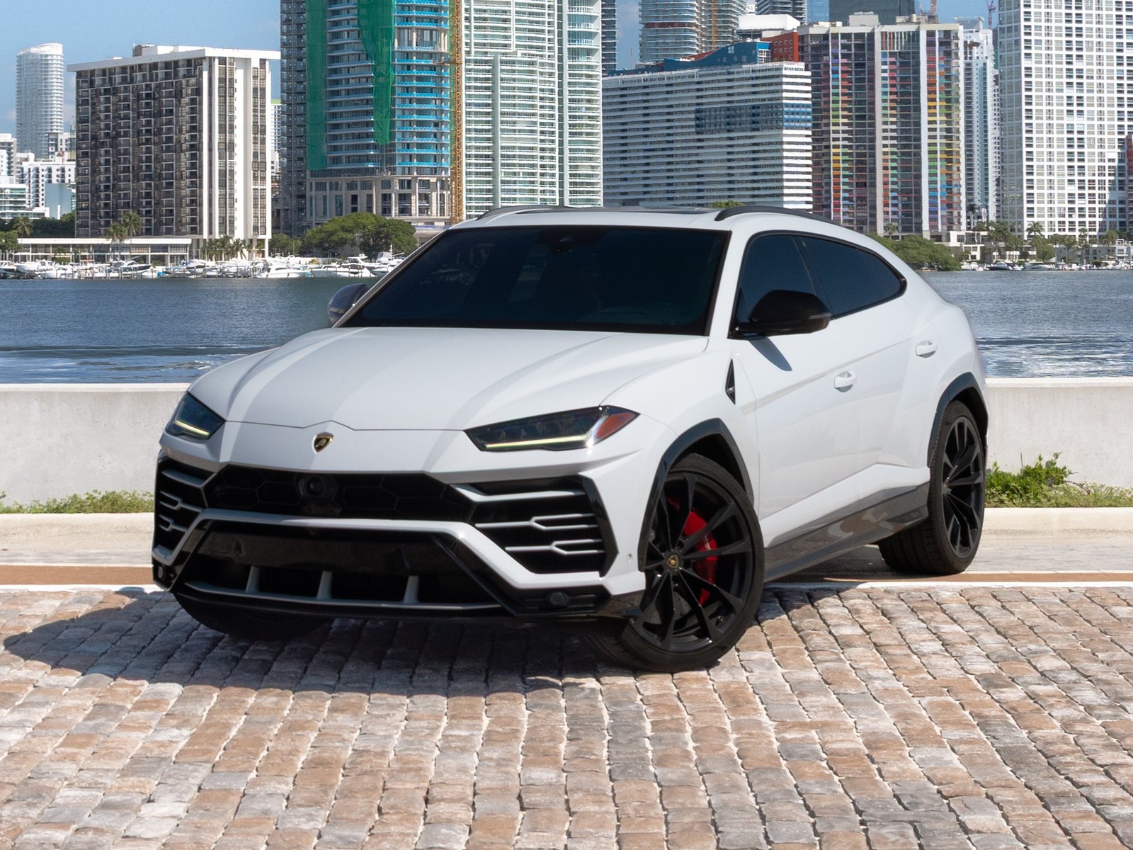 Lamborghini Urus White